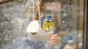 Arrêtez de jeter ce petit pot en plastique : il devient la mangeoire préférée des oiseaux cet hiver