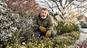 Ces 6 plantes d’extérieur choisies par les pros restent superbes toute l’année et transforment le jardin