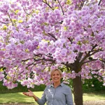 Cet arbre pousse aussi vite que le bambou, mais sa floraison remarquable fait toute la différence