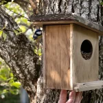 J’ai installé un nichoir au jardin, mais aucun oiseau n’y vient : pourquoi ils l’évitent vraiment