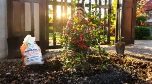 La plante à planter en mars qui attire chance et renouveau, voici pourquoi elle séduit autant