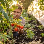 Plantées ce week-end, ces 5 variétés de tomates rougissent avant la fin du printemps : leur origine
