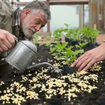 « Touche l’eau avant d’arroser » : un maraîcher m’a révélé pourquoi mes courgettes ne germaient pas en avril